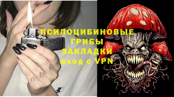 тгк Алзамай