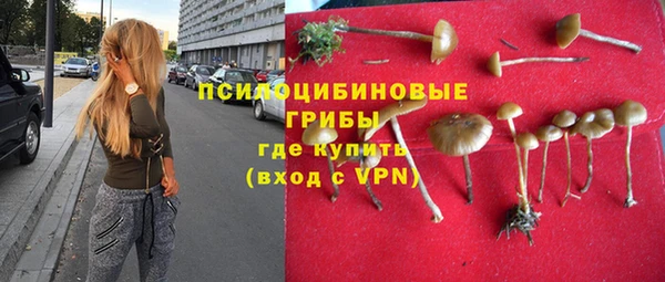 дурь Алексеевка