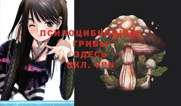 a pvp Алексин